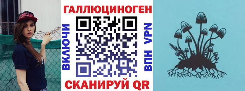 Псилоцибиновые грибы мицелий  купить наркотик  Киселёвск 