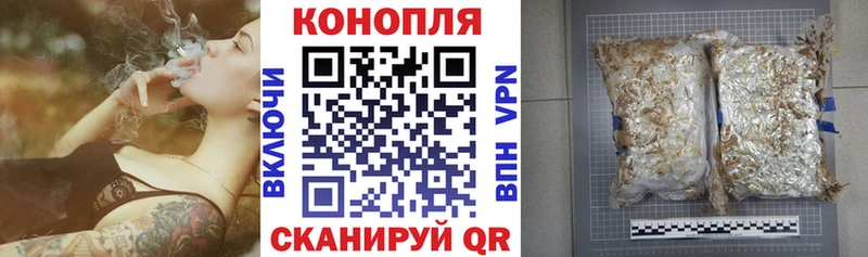 купить наркоту  Киселёвск  Шишки марихуана план 
